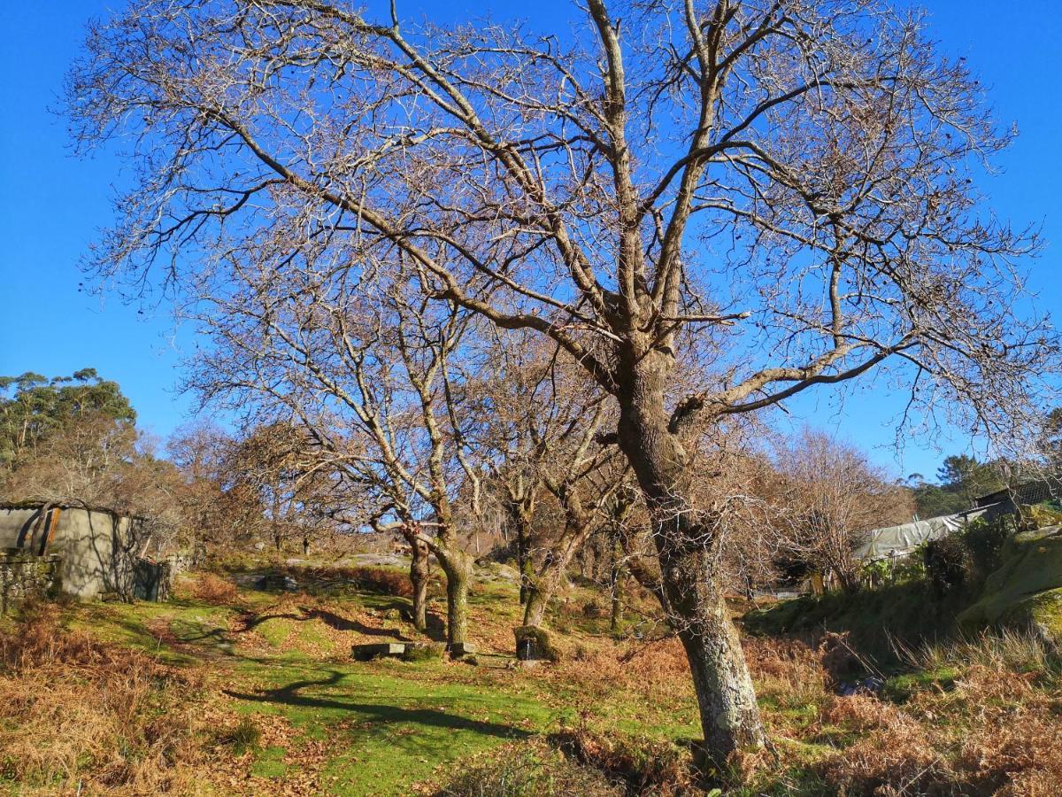 Alojamiento en el corazón de la Sierra del Galiñeiro Gondomar Exterior foto